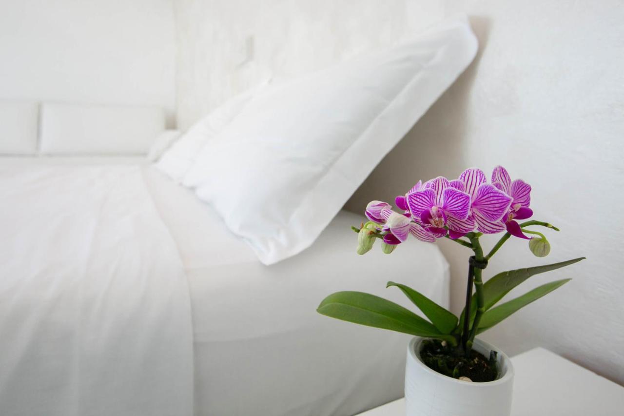 Hotel Nuovo Giardino Ρίμινι Εξωτερικό φωτογραφία